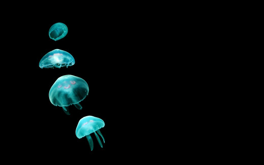 537474 (a): :1920x1200